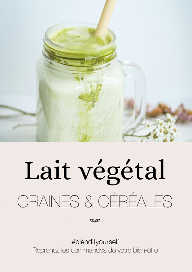 Guide #3 - ``Lait`` Végétal graines et noix